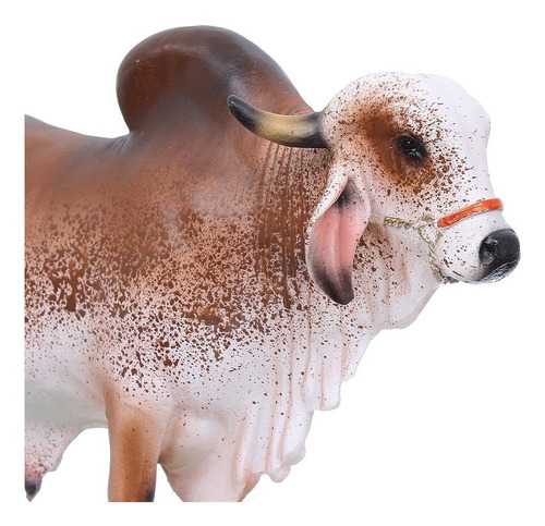 Imagem 4 de 4 de Escultura Touro Gir Em Resina Home Western Decor 27502