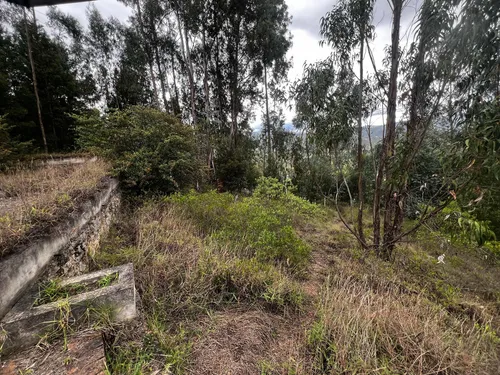 Lote Vereda Gotua- 1073 M2 - Vía Iza