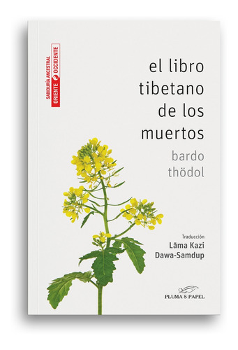 Libro Tibetano De Los Muertos