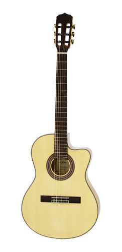 Guitarra Electroacustica Nylon Arce Aria A-48ce N Eq Fishman