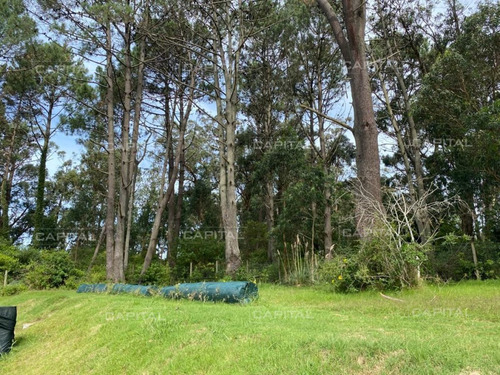 Imagen 7 de 17 de Hermoso Terreno En Golf, Punta Del Este - Punta Del Este Golf