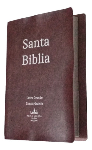 Biblia Reina Valera 1960 Mediana Letra Grande 10 Pts Colores