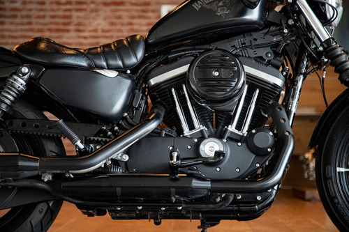 Imagen 7 de 15 de Harley Davidson Iron 883 Roshaus Motorrad Permutas !!!!