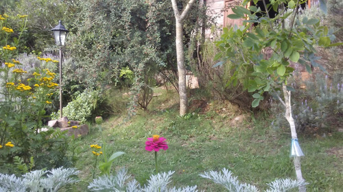 Cabaña Para Alquilar Por Día En Villa Serrana