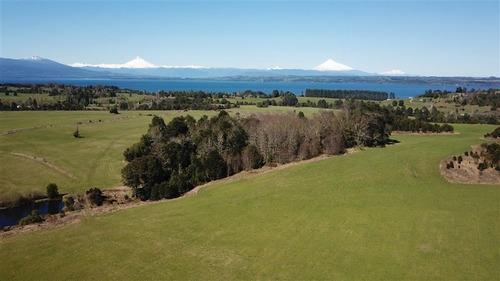Imagen 9 de 16 de Agrícola En Venta En Río Bueno