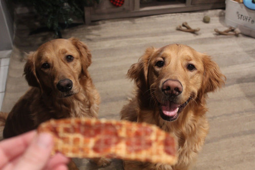 Receita De Petiscos Para Cães Rena Em Tiras De Bife De Frang