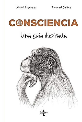 Libro Consciencia. Una Guía Ilustrada De David Papineau, How