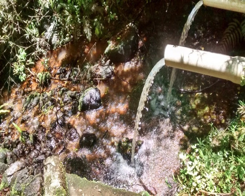 Imagem 12 de 23 de Sítio Rico Em Água, Paraíso Ecológico! - 156 - 32982609
