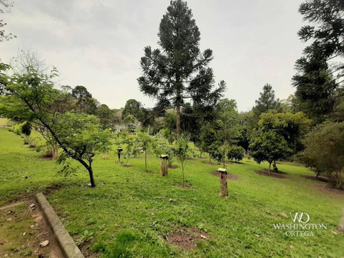 Imagem 30 de 30 de Chácara Com 2 Dormitórios À Venda, 37784 M² Por R$ 660.000,00 - Rio De Una - São José Dos Pinhais/pr - Ch0071