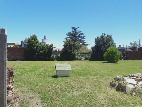 Imagen 10 de 16 de Terreno En La Plata - Calle 77 E/ 17 Y 18 - Dacal Bienes Raices