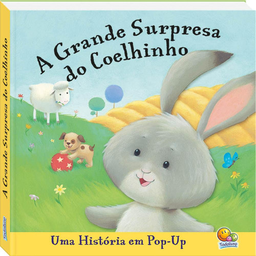 Histórias Pop up: Coelhinho, de Miller, Liza. Editora Todolivro Distribuidora Ltda., capa dura em português, 2017