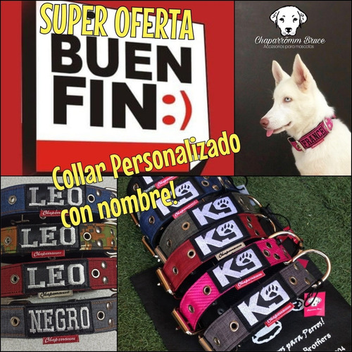 Collar Canino Con Nombre... Super Oferta De Buen Fin!!!