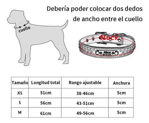 Collar Para Perro Con Picos De Metal Cuero Con Estilo Negro Huesos S