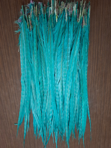 Plumas Faisán Anillados De 60 Cm Verde (Usado)