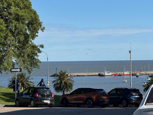 Venta Casa Puerto Buceo 2 Dorm Fondo Pu Casi Rambla