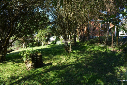 Imagem 15 de 15 de Casa 2 Dorm Itaara Com Piscina Garagem Churrasqueira - Linda Propriedade - 98793