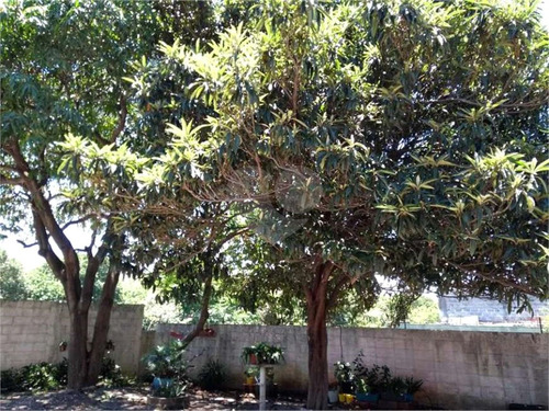 Imagem 5 de 15 de Terreno Na Vila Guilherme - Reo264343