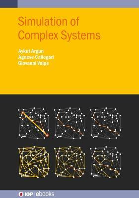 Libro Simulation Of Complex Systems - Professor Giovanni ...