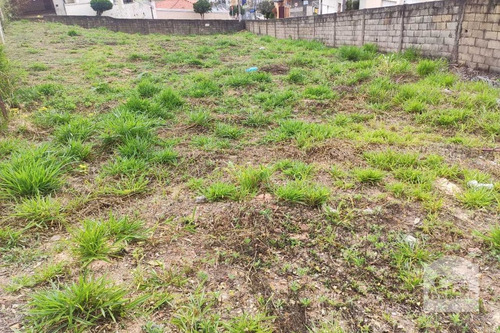 Imagem 1 de 5 de Lote À Venda No Fernão Dias - Código 267713 - 267713