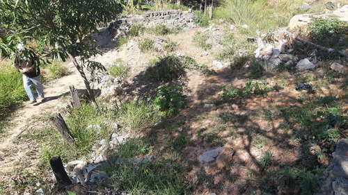 Imagem 5 de 12 de Lote Para Venda Em Ribeirão Das Neves, Bom Sossego - L13_1-2088493
