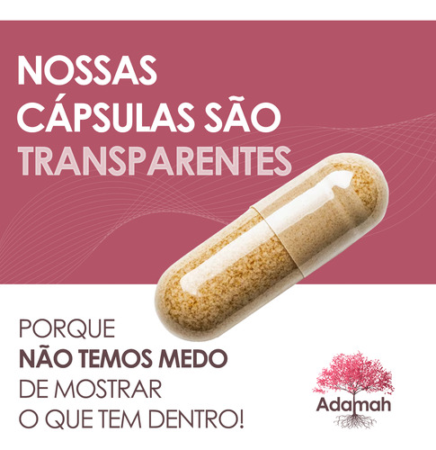 1 Pote Foco Mental E Alta Performance Panax Coreano 500mg Panax