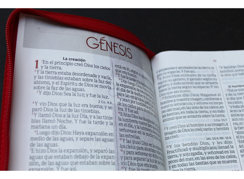 Santa Biblia Reina Valera 1960 Letra Gigante Roja C/cierre