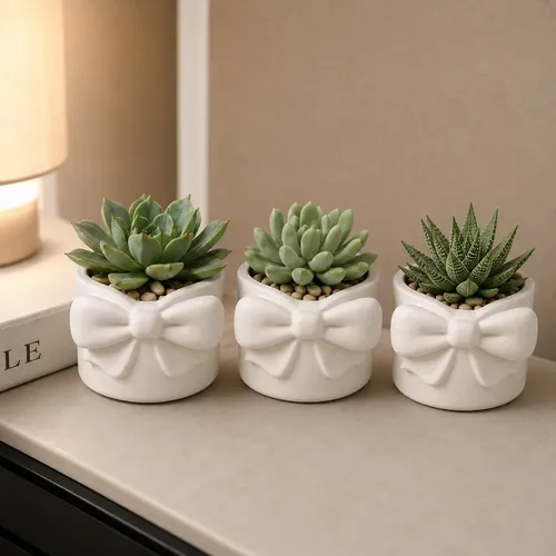 Kit 3 Vasos Decorativo Vaso Laço Gesso Para Cactus E Plantas Branco Gesso Laço Encanto