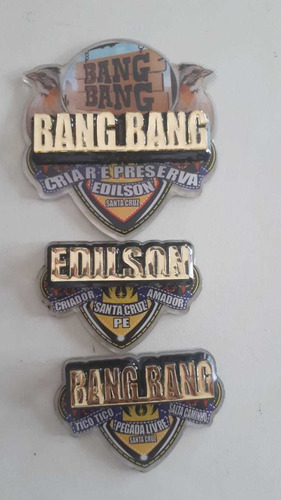 Imagem 4 de 8 de Kit Placas De Pasarinho