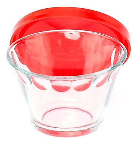 Contenedor Pyr-o-rey 547 Vidrio Y Plástico 14 Pzs 1l