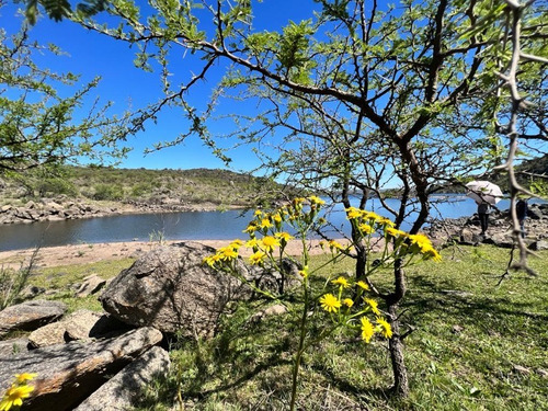 Venta De Lote Barrio Semi Cerrado Piedra Alpa - Cerro Pelado - Inv0118