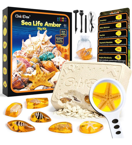 Gobidex Sea Life Amber Dig Kit, Juguetes Educativos Activida