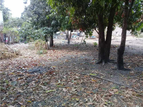 Extenso Terreno En San Jose Teran