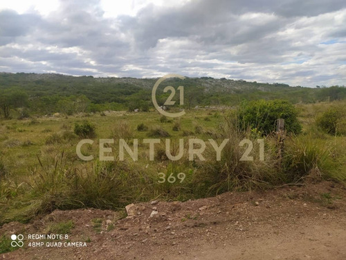 Imagen 10 de 19 de Se Vende Muy Lindo Campo Con Cañada !!