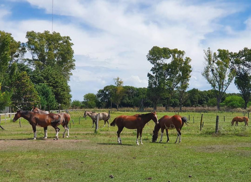 Estancia En Venta - Haras - Turismo Rural En Venta