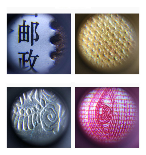 Microscopio Led De Bolsillo Mini Microscopio Con Luz Microsc
