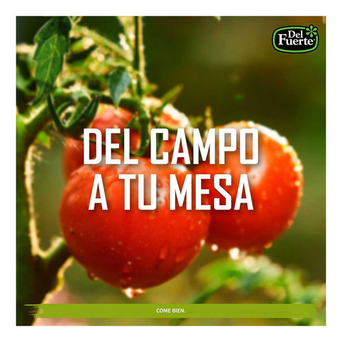 Tomates Molidos Del Fuerte Origen 400g