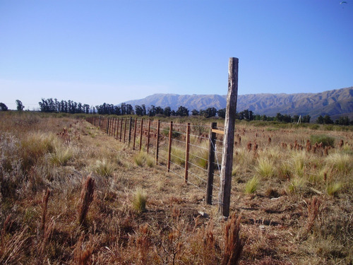 Terreno-merlo-cortaderas-san Luis