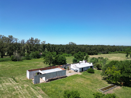 Campo En Pilar