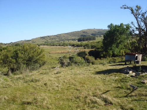 Campo 98 Has Con 2891 M2 En Carape Cuenta Con Costa De Arroyo.
