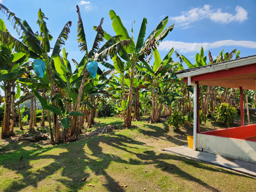 Finca En Venta Filandia