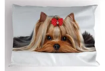 Comprar Ambesonne Yorkie Funda De Almohada, Yorkshire Terrier Con De