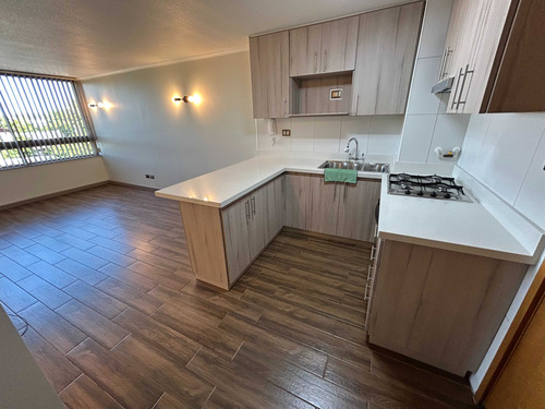 Depto Central 1d Completamente Remodelado (77610)