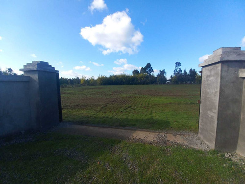 Camino Villa Baviera (106593)