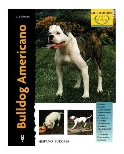 Bulldog Americano / Excellence