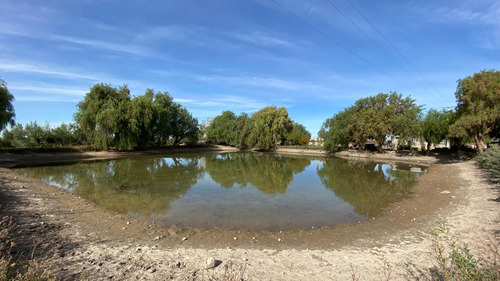 Venta | Finca | Anchoris | Tupungato | Mendoza