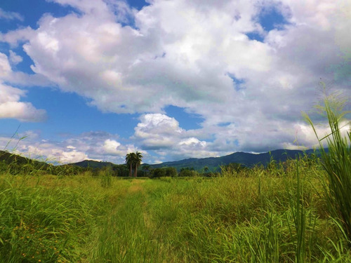 Dc224456 En Venta Hermosa Finca En Los Chaguaramos, Sabaneta Norte - Montalbán Carabobo