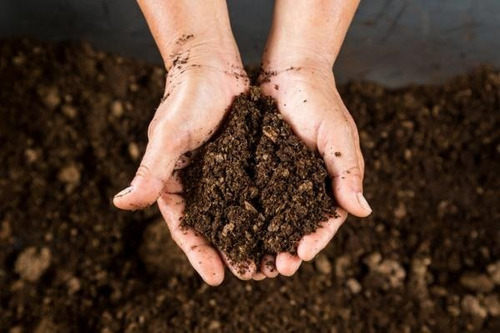 Imagen 2 de 2 de Sustrato Peat Moss Hawita 250 L