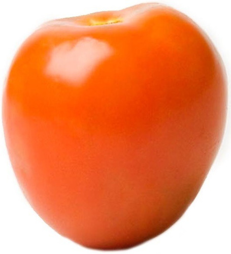 Semilla Tomate Gem-604 F1 Chonto 1000 Semillas