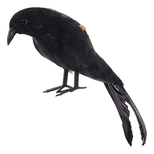 Zz Plumas De Halloween Con Forma De Pájaro Cuervo, Tamaño