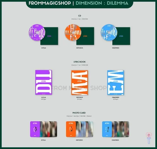 Enhypen - Album Dimension: Dilemma (escolha A Versão) | Frete grátis